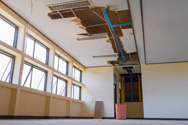Best Water damage cleanup near me  in Perryville, MD