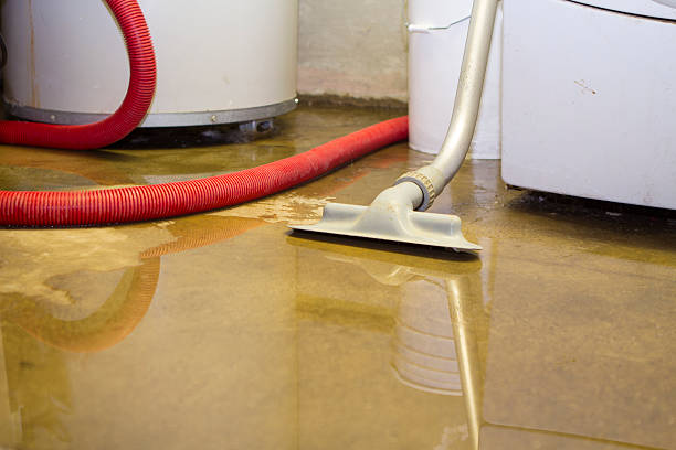 Best Water damage restoration insurance claims  in Perryville, MD